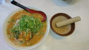 MISO3